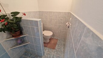 Bývanie na vidieku, Bratislava 20 km, Horné Janíky - 17