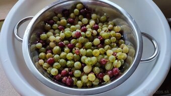 🍀 ZÁHRADA-KOŠICE/JAZERO - celoročný prístup - 17