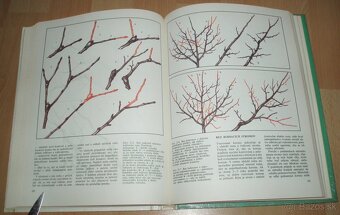 Tvarovanie a rez ovocných drevín - 17