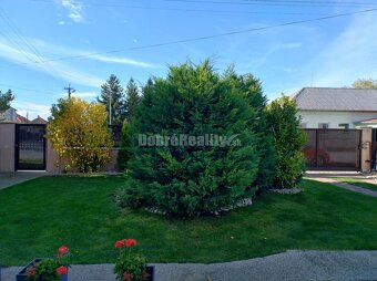 Na predaj RD v Kostolnom Seku - 17