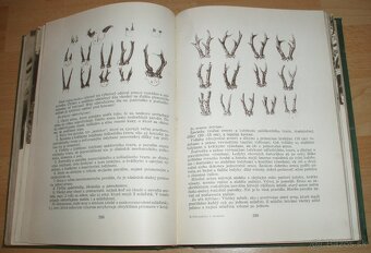 Poľovníctvo v obrazoch - 17