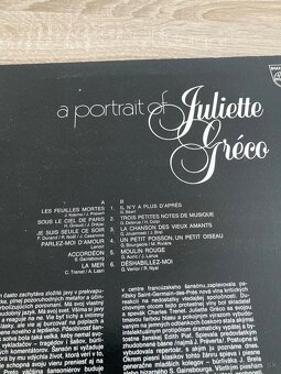 LP gramofonové platne - 17