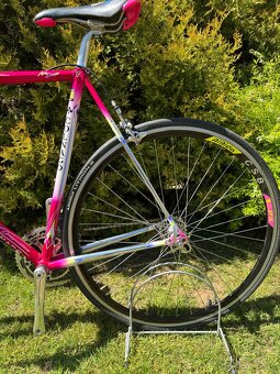 Colnago Tecnos Art Decor - 17