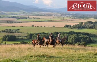 Prenájom reštaurácie v areáli ranča - Valentová - 17