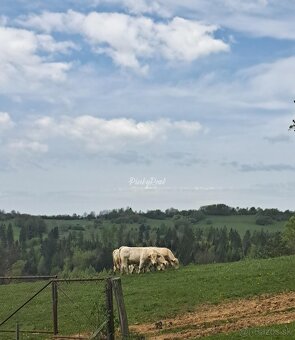 Pinky Real – Chata, do ktorej sa zamilujete - 17