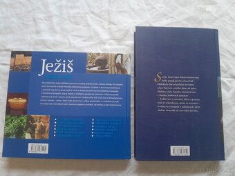 Biblia,Ježiš, - 17