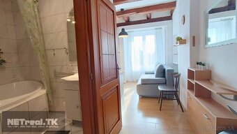 ROMANTICKÉ BÝVANIE – ATYPICKÝ PODKROVNÝ- Garzónka - - 17