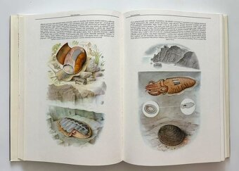 Nádherná séria encyklopédií - 17