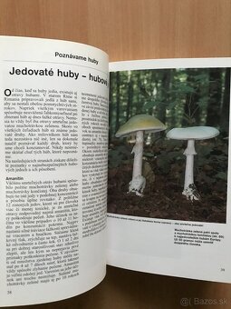 5 x huby - 17