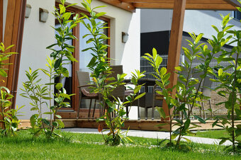 POSLEDNÝ VOĽNÝ DOM - Rodinný dom na prenájom v Porube - 17