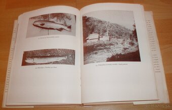 Lovy v Karpatech - 17