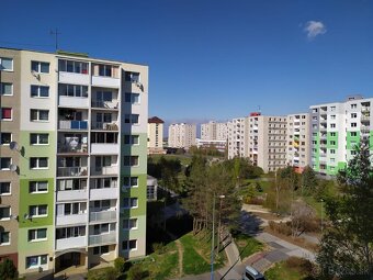 Prenájom_2-izbový byt s loggiou - 17
