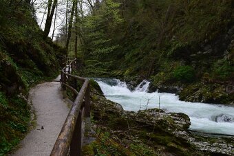 Dovolenka v Slovinsku (Bohinj-Bled) - 17