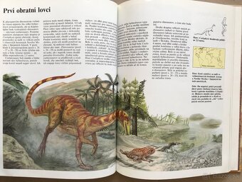 Biblické príbehy, Čarovná Rozprávkarka, Vedomosti v Kocke - 17