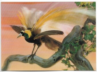 3D pohľadnice (1-20 ), čisté v top stave, 1 ks za 1 € - 17