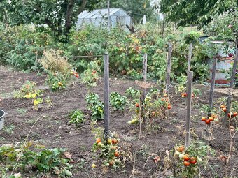 Dvojpodlažný priestranný rodinný dom so záhradou - 17