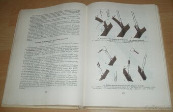 Štepenie, očkovanie a preštepovanie drevín - 17