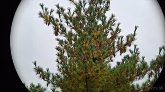 Ďalekohľad PANORAMA BERLIN WETWINKEL 8X30 - 17