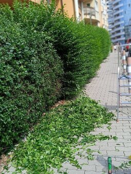 Udžbarské práce pre bytové a nebytové domy v BA. - 17