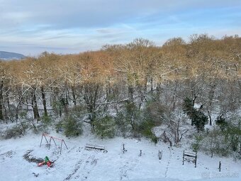 2-izbový byt po kompletnej rekonštrukcii | Veternicová - 17