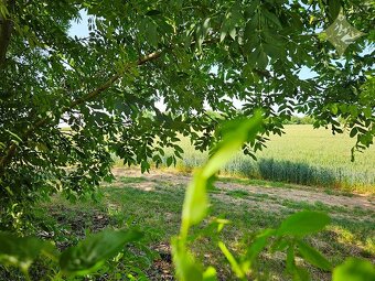 Na predaj stavebný pozemok na RD v obci Tehla, 1025 m² - 17
