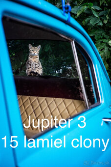 Jupiter 3 1.5/50mm - 17