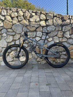 Predam TREK Remedy 9.7 - 17