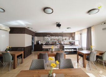 HALO reality - Prenájom, reštauračný priestor Dudince, Bar a - 17