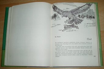 Samé Poľovnícke príhody - 17