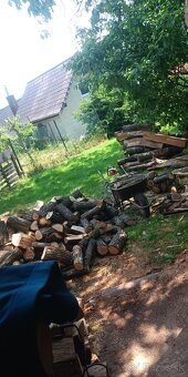 PRÁCE OKOLO DOMU .ČITAJ CELÝ INZERÁT AZ DO KONCA - 17
