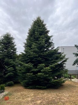 Výnimočná 9-izbová nehnuteľnosť s veľkým pozemkom – ideálna - 17