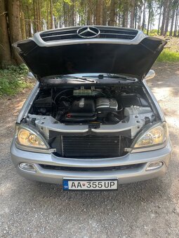 ✅Mercedes-Benz ML 270 cdi Manual - 17