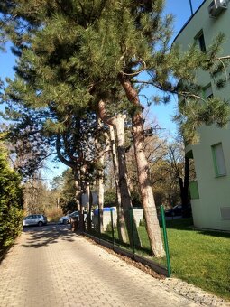 Príležitosť Prenájom 2-izb byt s terasou pri mestskom parku - 17