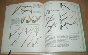 Tvarovanie a rez ovocných dreví - 17
