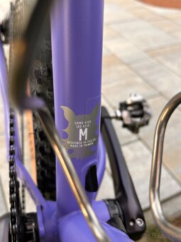 Jeronimo Txabardo / 29er / CrMo / Custom Hardtail - 17