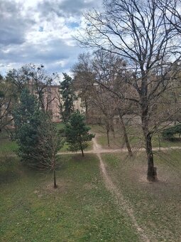 Priestranný 2-izbový byt s balkónom - 17