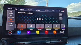Cupra Formentor 2.0 TSI 310k 4Drive DSG Veloz Panorama - 17