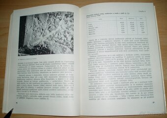 Medovice a včely - 17