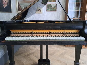 Klavír - křídlo August Förster - 17