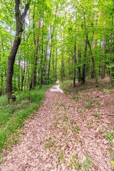 Pozemok v lone prírody s potôčikom– ideálny pre vašu vysníva - 17