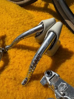 Sadu Campagnolo Victory - 17