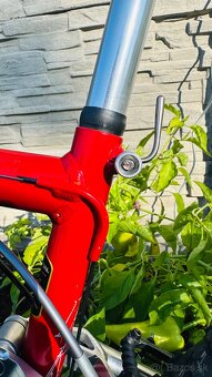 Horsky bycikel FRM - 17