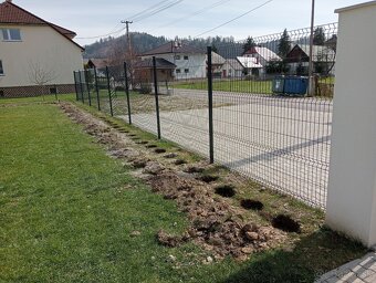 Tuja Smaragd, vavrínovec, červienka - Ružomberok - 17