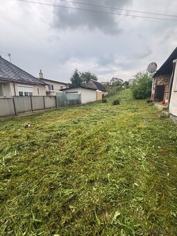 Vypilovanie tují, kosenie, úprava záhrad a živých plotov - 17