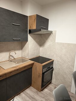 Prenájom 1izb byt - 17