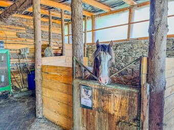 Usedlost na venkově - 17