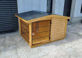 Búda pre psa - 17
