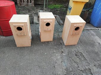 Búdka, búdky , papagáj - 17