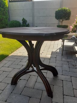 Thonetovy vyplet - 17