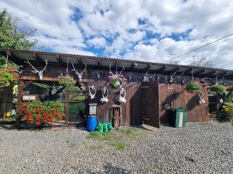 Voliery , klietky - 17